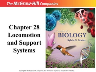 Copyright  ©  The McGraw-Hill Companies, Inc. Permission required for reproduction or display. Chapter 28 Locomotion and Support Systems 