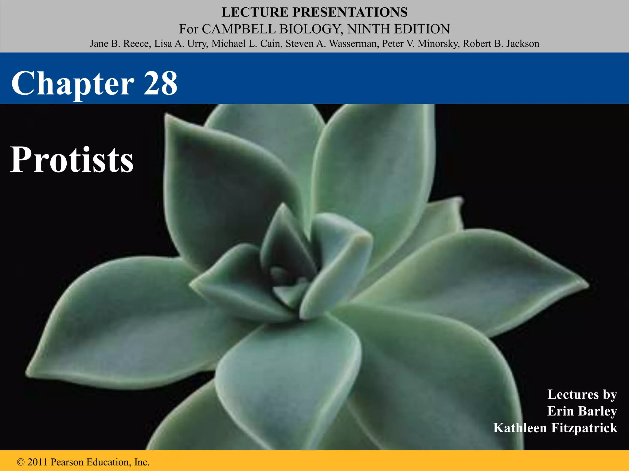 LECTURE PRESENTATIONS
For CAMPBELL BIOLOGY, NINTH EDITION
Jane B. Reece, Lisa A. Urry, Michael L. Cain, Steven A. Wasserman, Peter V. Minorsky, Robert B. Jackson
© 2011 Pearson Education, Inc.
Lectures by
Erin Barley
Kathleen Fitzpatrick
Protists
Chapter 28
 