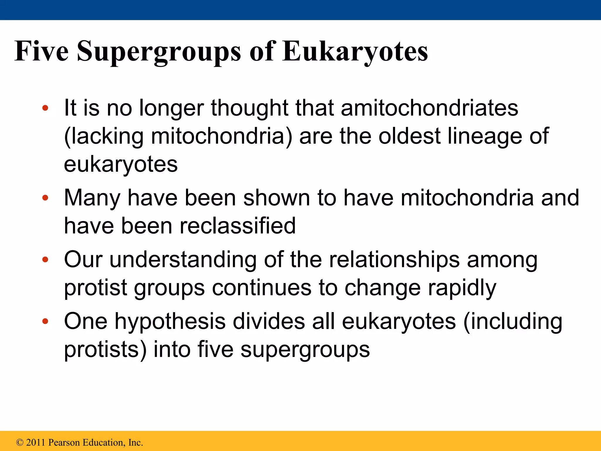 Five Supergroups of Eukaryotes
• It is no longer thought that amitochondriates
(lacking mitochondria) are the oldest lineage of
eukaryotes
• Many have been shown to have mitochondria and
have been reclassified
• Our understanding of the relationships among
protist groups continues to change rapidly
• One hypothesis divides all eukaryotes (including
protists) into five supergroups
© 2011 Pearson Education, Inc.
 