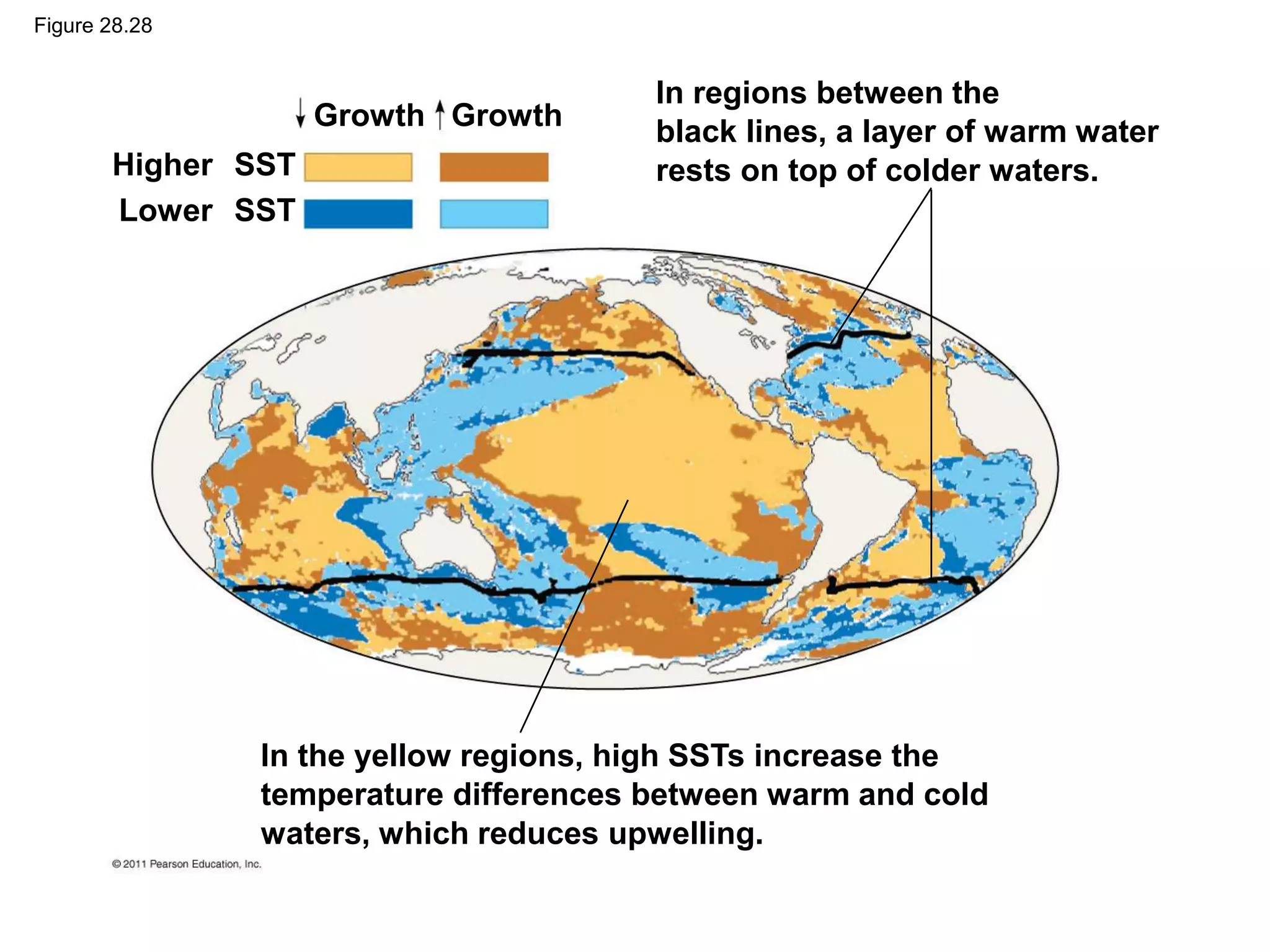Figure 28.28
Higher
Lower
SST
SST
Growth
Growth
In regions between the
black lines, a layer of warm water
rests on top of colder waters.
In the yellow regions, high SSTs increase the
temperature differences between warm and cold
waters, which reduces upwelling.
 