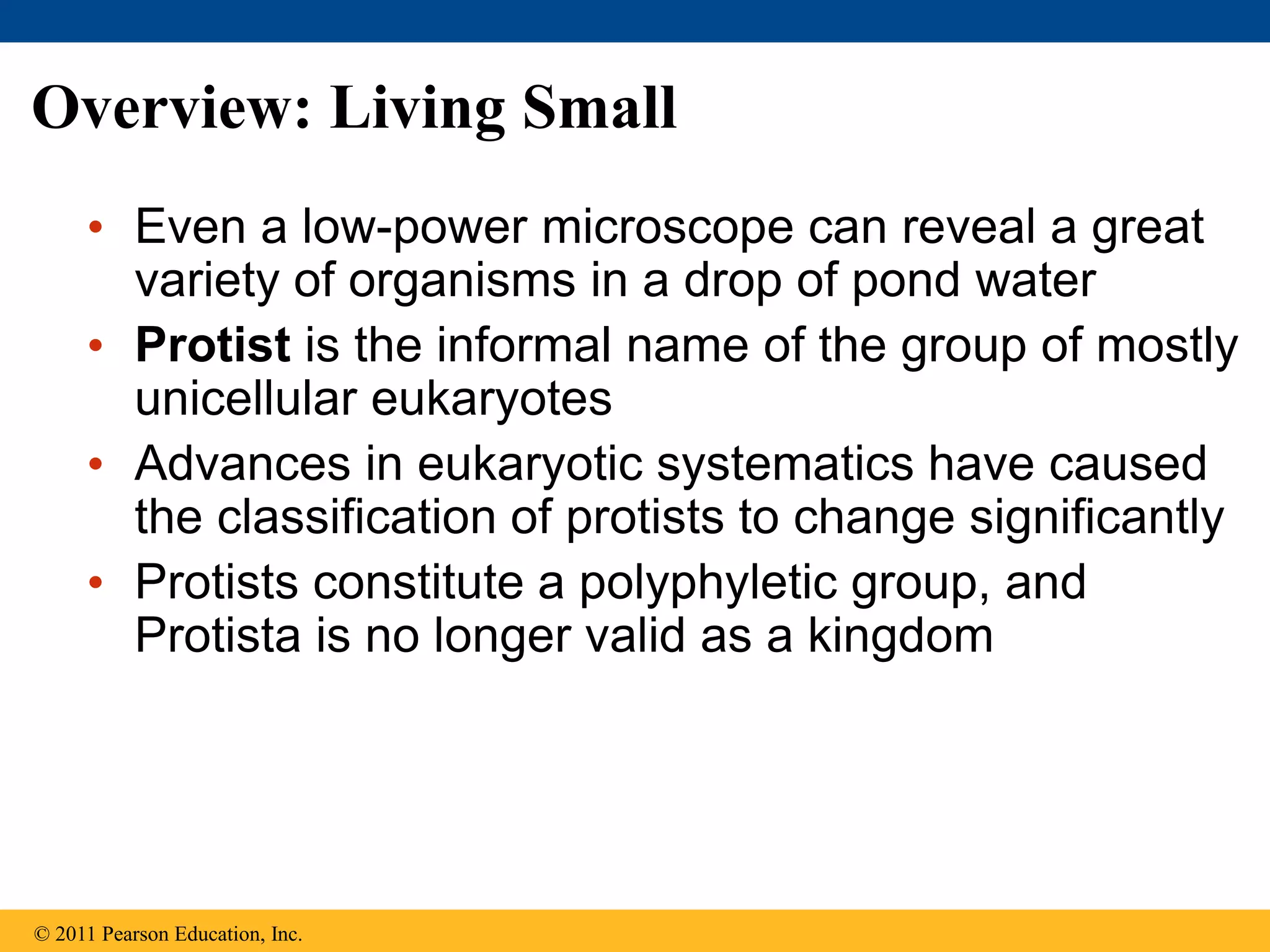 Overview: Living Small
• Even a low-power microscope can reveal a great
variety of organisms in a drop of pond water
• Protist is the informal name of the group of mostly
unicellular eukaryotes
• Advances in eukaryotic systematics have caused
the classification of protists to change significantly
• Protists constitute a polyphyletic group, and
Protista is no longer valid as a kingdom
© 2011 Pearson Education, Inc.
 