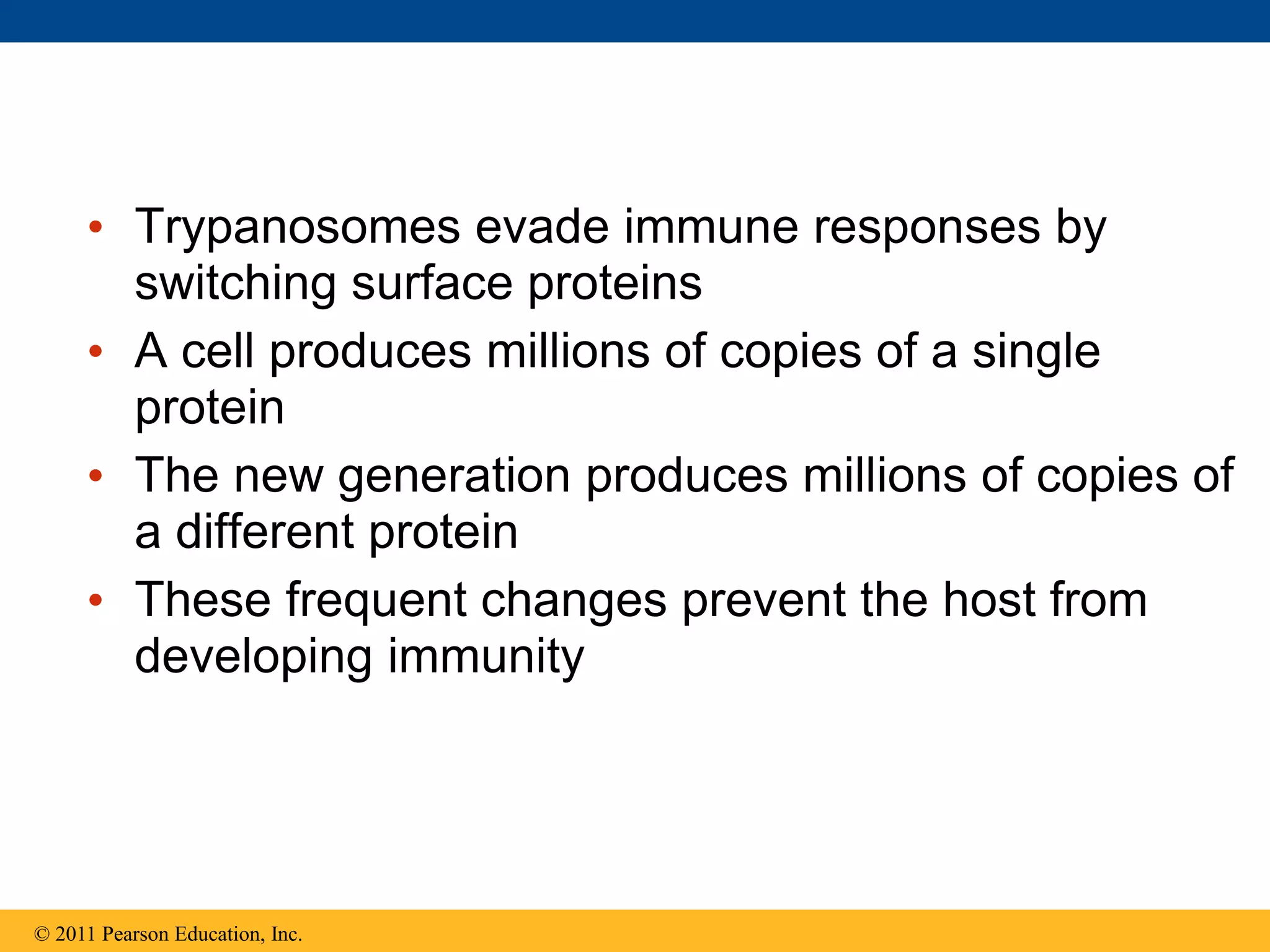 • Trypanosomes evade immune responses by
switching surface proteins
• A cell produces millions of copies of a single
protein
• The new generation produces millions of copies of
a different protein
• These frequent changes prevent the host from
developing immunity
© 2011 Pearson Education, Inc.
 