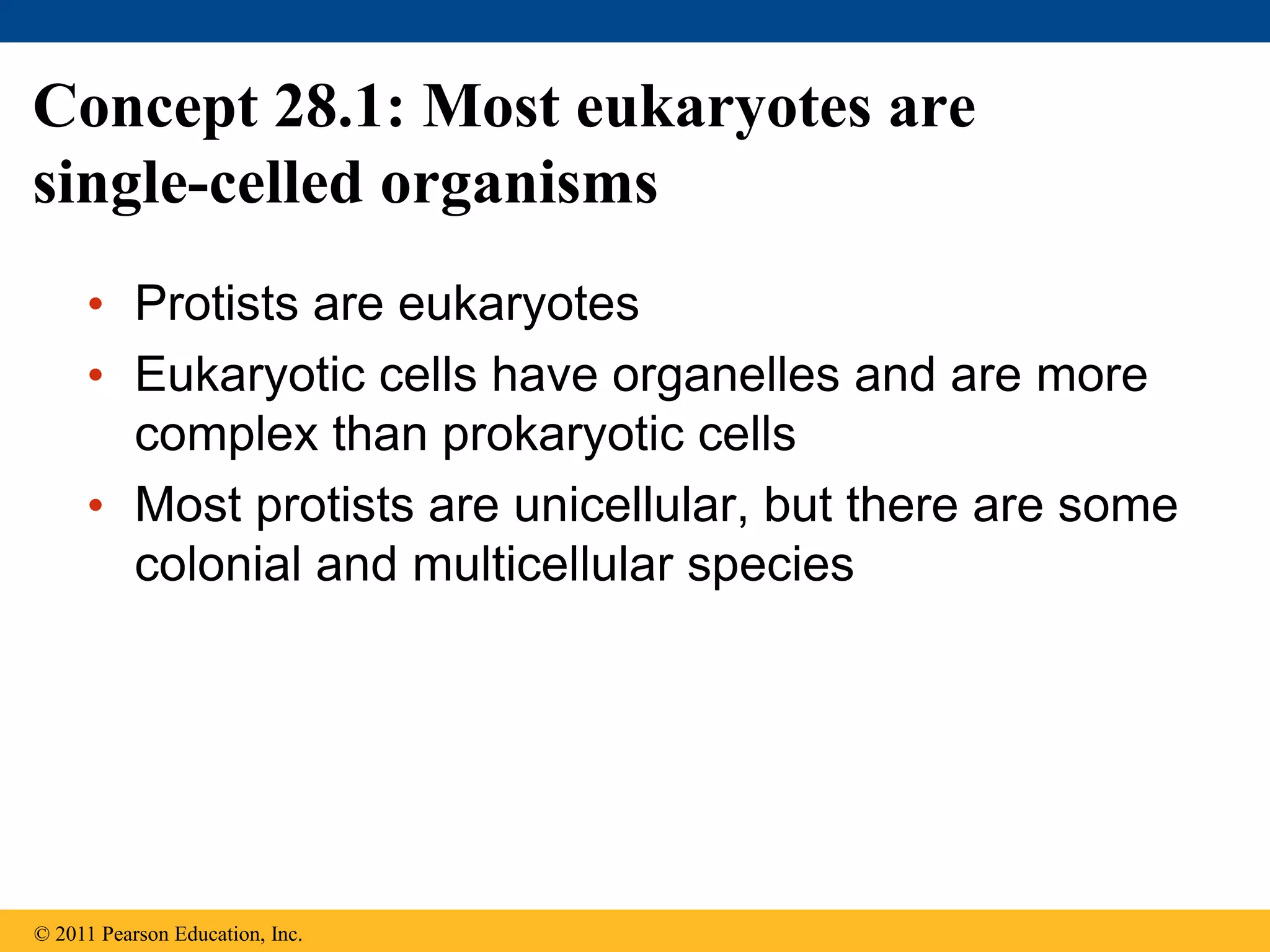 Concept 28.1: Most eukaryotes are
single-celled organisms
• Protists are eukaryotes
• Eukaryotic cells have organelles and are more
complex than prokaryotic cells
• Most protists are unicellular, but there are some
colonial and multicellular species
© 2011 Pearson Education, Inc.
 