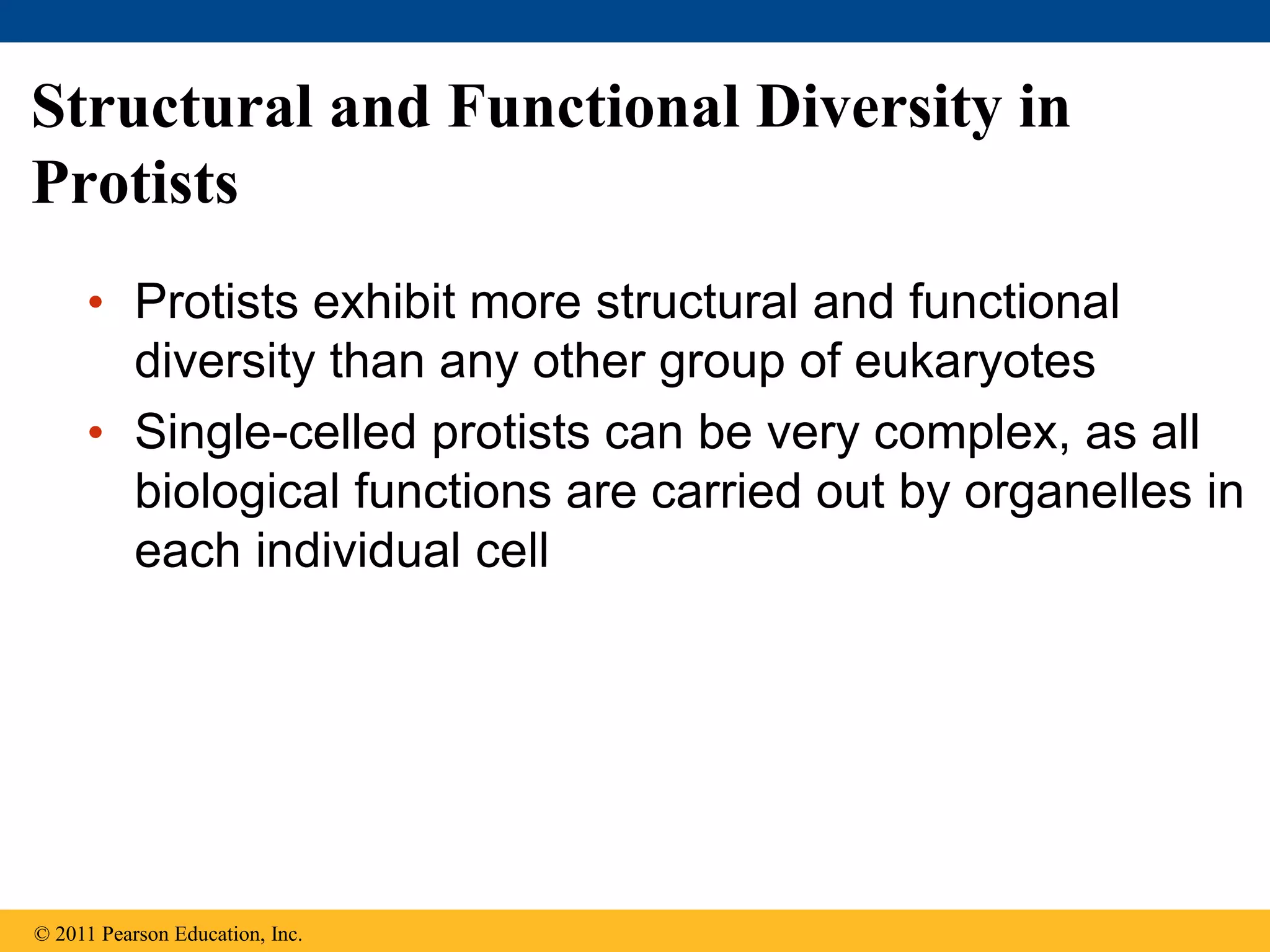 Structural and Functional Diversity in
Protists
• Protists exhibit more structural and functional
diversity than any other group of eukaryotes
• Single-celled protists can be very complex, as all
biological functions are carried out by organelles in
each individual cell
© 2011 Pearson Education, Inc.
 