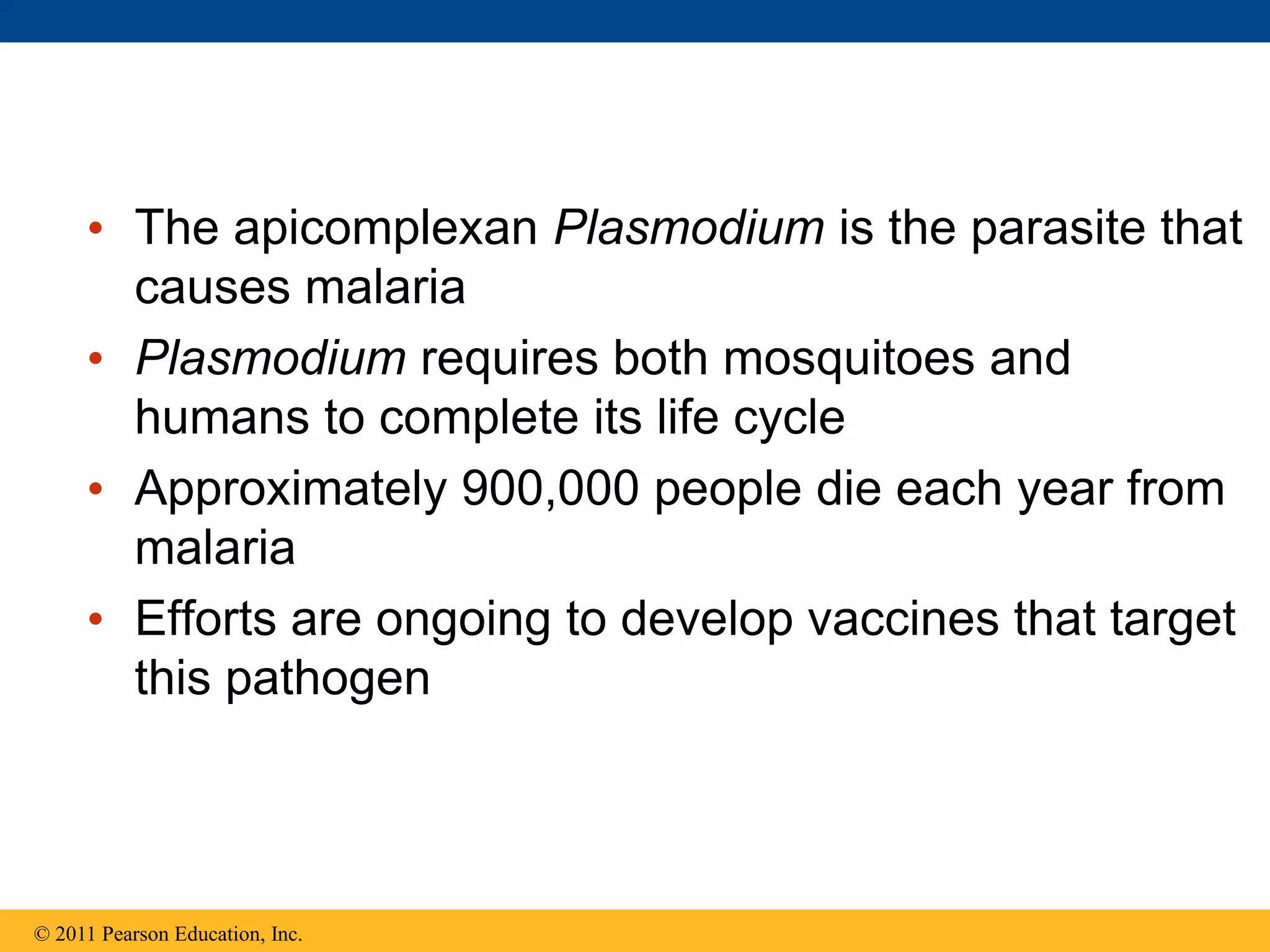 • The apicomplexan Plasmodium is the parasite that
causes malaria
• Plasmodium requires both mosquitoes and
humans to complete its life cycle
• Approximately 900,000 people die each year from
malaria
• Efforts are ongoing to develop vaccines that target
this pathogen
© 2011 Pearson Education, Inc.
 
