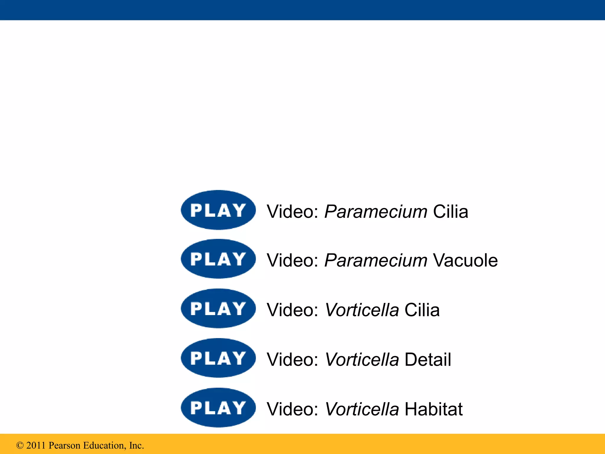 © 2011 Pearson Education, Inc.
Video: Vorticella Habitat
Video: Vorticella Detail
Video: Vorticella Cilia
Video: Paramecium Vacuole
Video: Paramecium Cilia
 