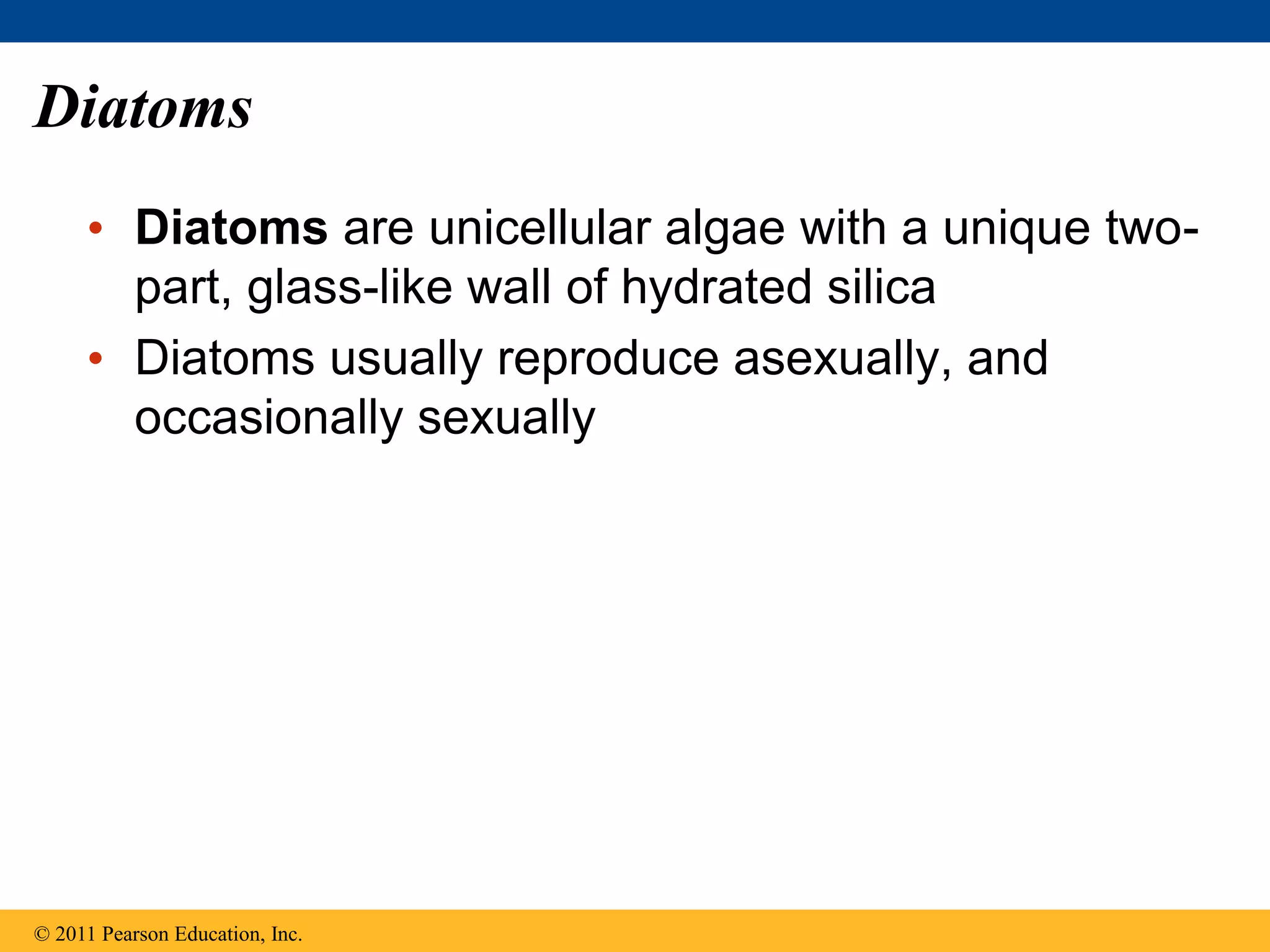 Diatoms
• Diatoms are unicellular algae with a unique two-
part, glass-like wall of hydrated silica
• Diatoms usually reproduce asexually, and
occasionally sexually
© 2011 Pearson Education, Inc.
 