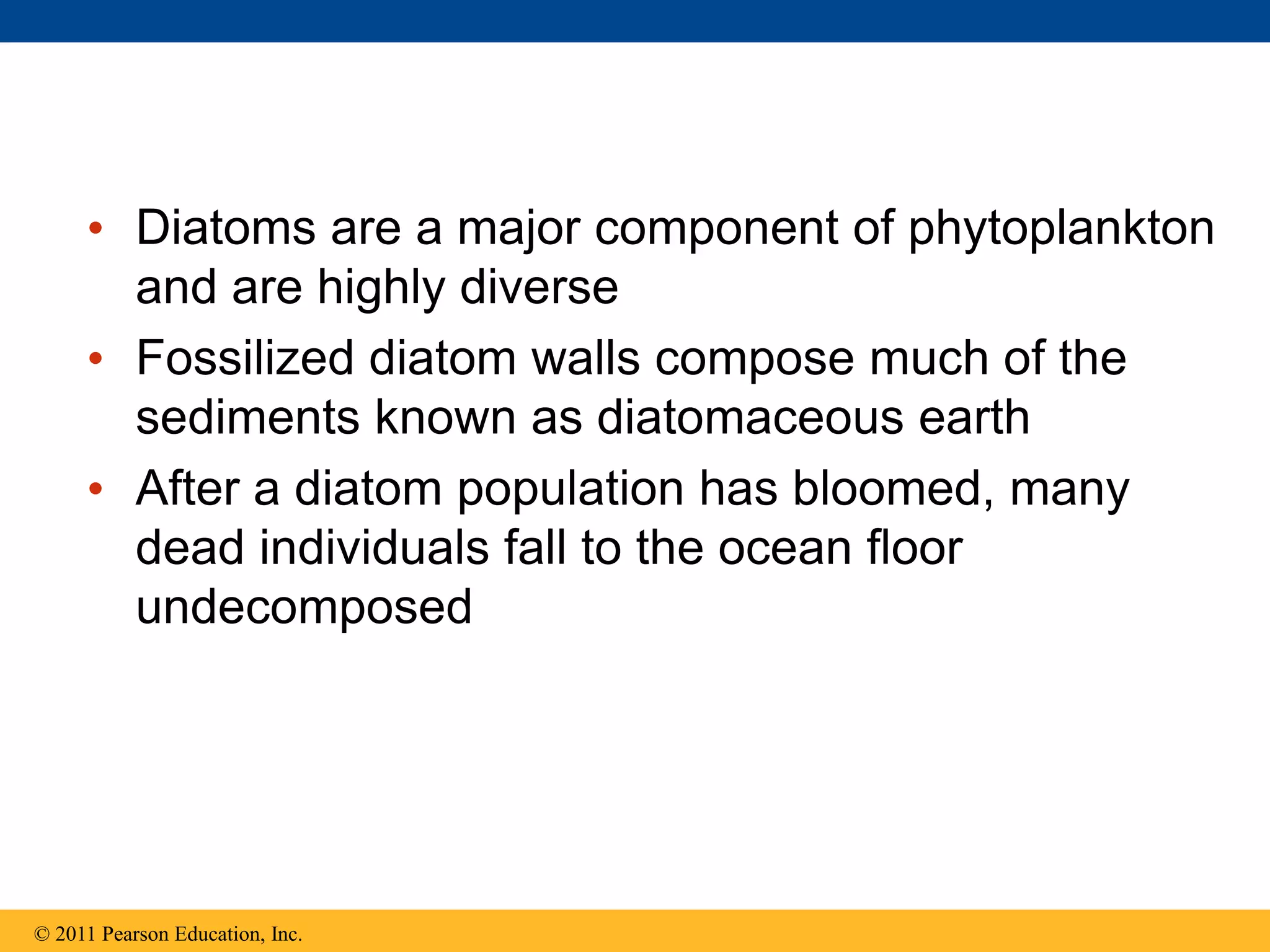 • Diatoms are a major component of phytoplankton
and are highly diverse
• Fossilized diatom walls compose much of the
sediments known as diatomaceous earth
• After a diatom population has bloomed, many
dead individuals fall to the ocean floor
undecomposed
© 2011 Pearson Education, Inc.
 
