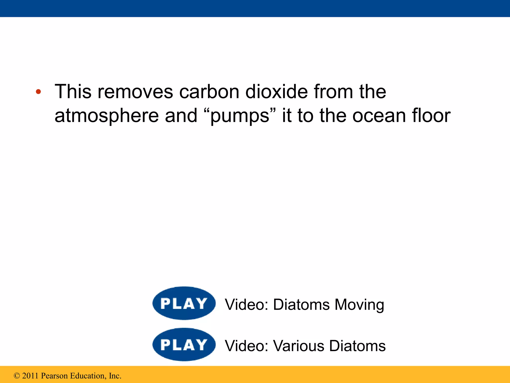 • This removes carbon dioxide from the
atmosphere and “pumps” it to the ocean floor
© 2011 Pearson Education, Inc.
Video: Various Diatoms
Video: Diatoms Moving
 