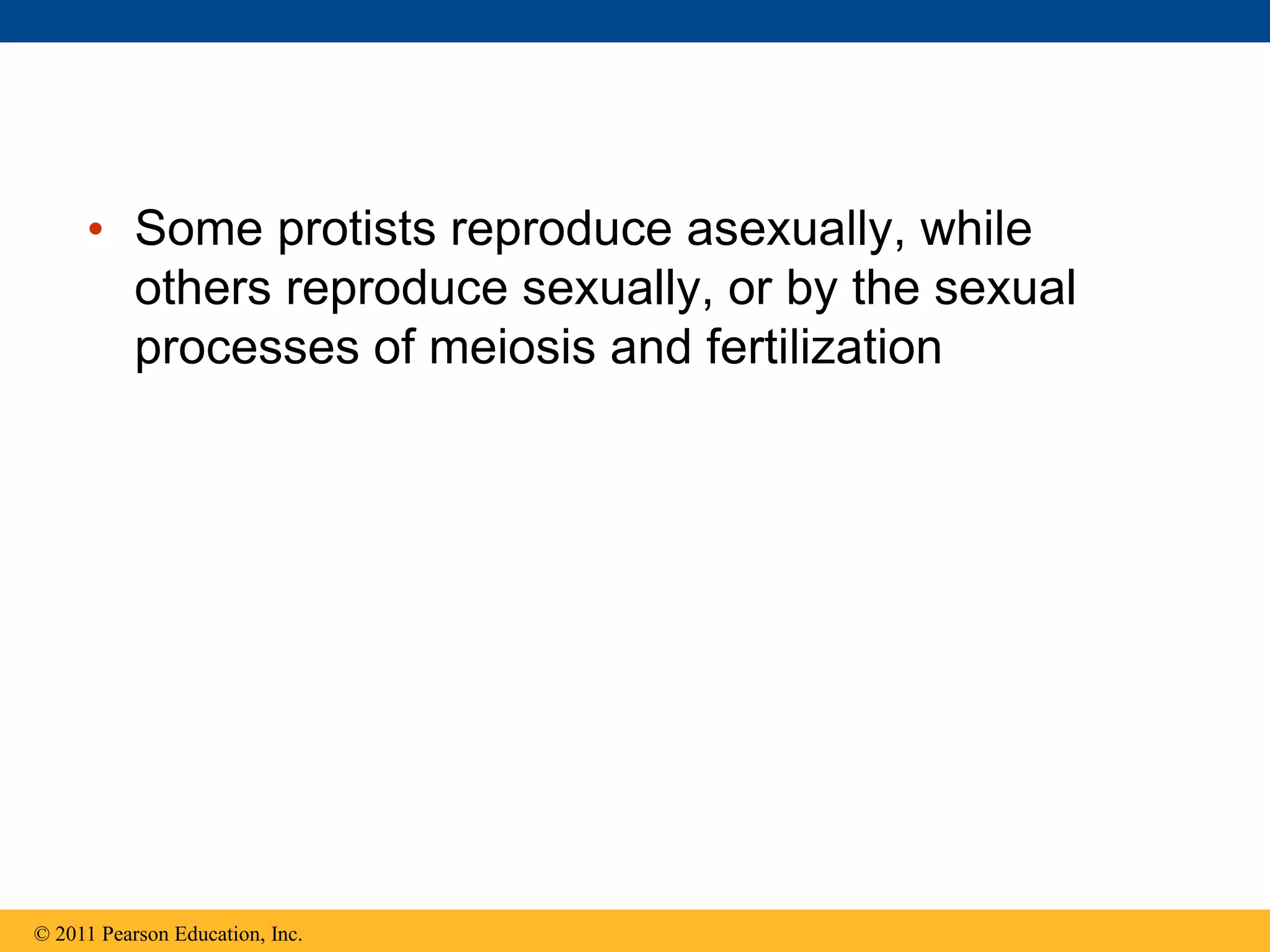 • Some protists reproduce asexually, while
others reproduce sexually, or by the sexual
processes of meiosis and fertilization
© 2011 Pearson Education, Inc.
 