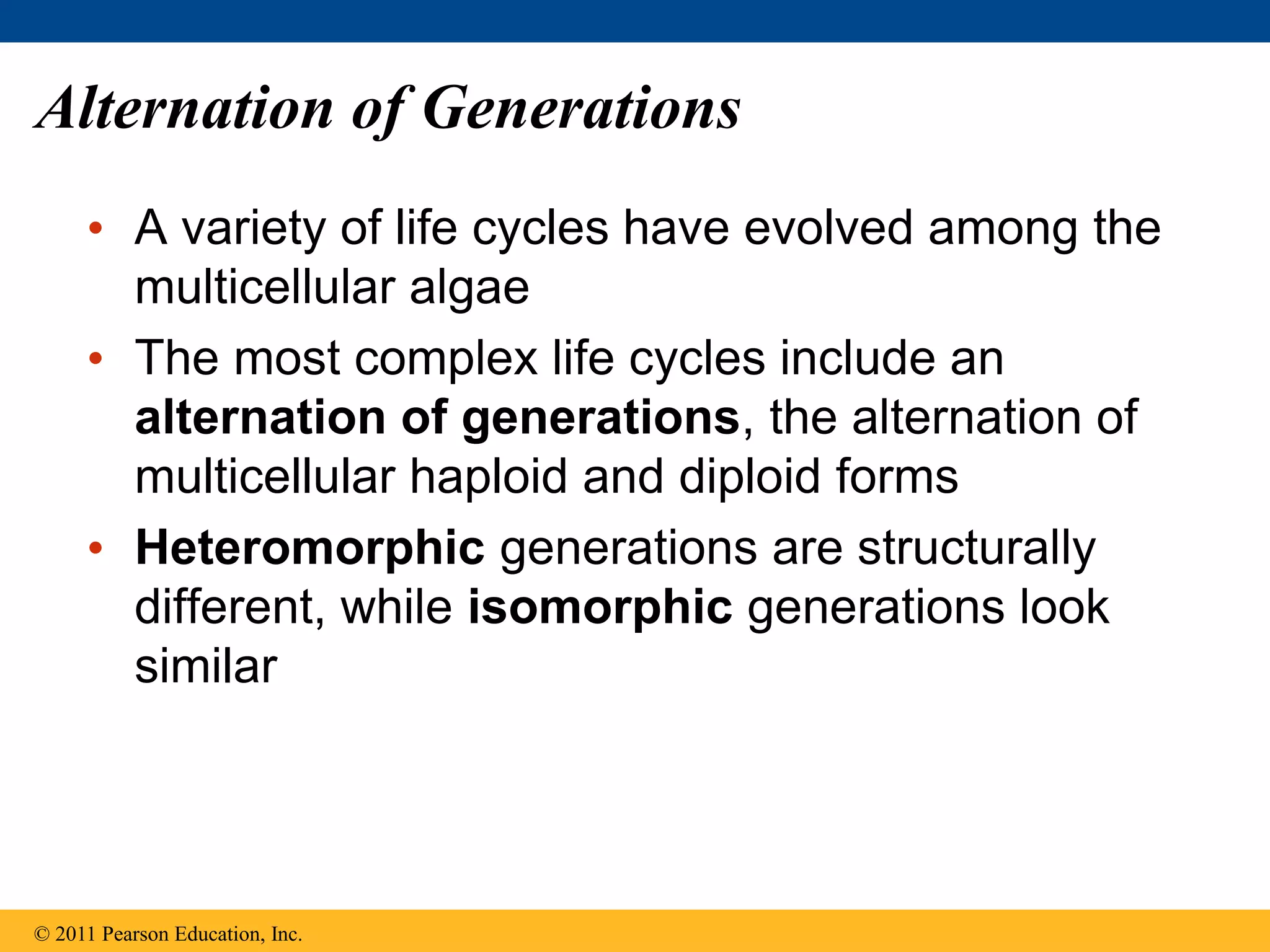 Alternation of Generations
• A variety of life cycles have evolved among the
multicellular algae
• The most complex life cycles include an
alternation of generations, the alternation of
multicellular haploid and diploid forms
• Heteromorphic generations are structurally
different, while isomorphic generations look
similar
© 2011 Pearson Education, Inc.
 