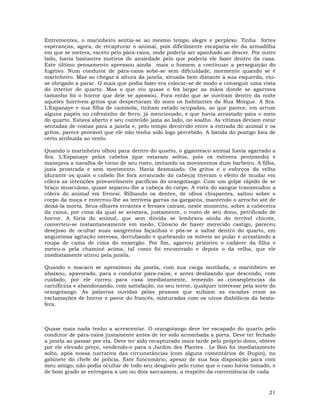 21
Entrementes, o marinheiro sentia-se ao mesmo tempo alegre e perplexo. Tinha fortes
esperanças, agora, de recapturar o animal, pois dificilmente escaparia ele da armadilha
em que se metera, exceto pelo pára-raios, onde poderia ser apanhado ao descer. Por outro
lado, havia bastantes motivos de ansiedade pelo que poderia ele fazer dentro da casa.
Este último pensamento apressou ainda mais o homem a continuar a perseguição do
fugitivo. Num condutor de pára-raios sobe-se sem dificuldade, mormente quando se é
marinheiro. Mas ao chegar à altura da janela, situada bem distante à sua esquerda, viu-
se obrigado a parar. O mais que podia fazer era colocar-se de modo a conseguir uma vista
do interior do quarto. Mas o que viu quase o fez largar as mãos donde se agarrava
tamanho foi o horror que dele se apossou. Fora então que se ouviram dentro da noite
aqueles horríveis gritos que despertaram do sono os habitantes da Rua Morgue. A Sra.
L'Espanaye e sua filha de camisola, tinham estado ocupadas, ao que parece, em arrum
alguns papéis no cofrezinho de ferro, já mencionado, e que havia arrastado para o meio
do quarto. Estava aberto e seu conteúdo jazia ao lado, no soalho. As vítimas deviam estar
sentadas de costas para a janela e, pelo tempo decorrido entre a entrada do animal e os
gritos, parece provável que ele não tenha sido logo percebido. A batida do postigo fora de
certo atribuída ao vento.
Quando o marinheiro olhou para dentro do quarto, o gigantesco animal havia agarrado a
Sra. L'Espanaye pelos cabelos (que estavam soltos, pois os estivera penteando) e
manejava a navalha de torno de seu rosto, imitando os movimentos dum barbeiro. A filha,
jazia prostrada e sem movimento. Havia desmaiado. Os gritos e o esforços da velha
(durante os quais o cabelo lhe fora arrancado da cabeça) tiveram o efeito de mudar em
cólera as intenções provavelmente pacificas do orangotango. Com um golpe rápido de se
braço musculoso, quase separou-lhe a cabeça do corpo. A vista do sangue transmudou a
cólera do animal em frenesi. Rilhando os dentes, de olhos chispantes, saltou sobre o
corpo da moça e enterrou-lhe as terríveis garras na garganta, mantendo o arrocho até de
deixá-la morta. Seus olhares errantes e ferozes caíram, neste momento, sobre a cabeceira
da cama, por cima da qual se avistava, justamente, o rosto de seu dono, petrificado de
horror. A fúria do animal, que sem dúvida se lembrava ainda do terrível chicote,
converteu-se instantaneamente em medo. Cônscio de haver merecido castigo, pareceu
desejoso de ocultar suas sangrentas façanhas e pôs-se a saltar dentro do quarto, em
angustiosa agitação nervosa, derrubando e quebrando os móveis ao pular e arrastando a
roupa de cama de cima do enxergão. Por fim, agarrou primeiro o cadáver da filha e
meteu-o pela chaminé acima, tal como foi encontrado e depois o da velha, que ele
imediatamente atirou pela janela.
Quando o macaco se aproximou da janela, com sua carga mutilada, o marinheiro se
abaixou, apavorado, para o condutor pára-raios, e antes deslizando que descendo, com
cuidado, por ele correu para casa imediatamente, temendo as conseqüências da
carnificina e abandonando, com satisfação, no seu terror, qualquer interesse pela sorte do
orangotango. As palavras ouvidas pelas pessoas que subiam as escadas eram as
exclamações de horror e pavor do francês, misturadas com os uivos diabólicos da besta-
fera.
Quase mais nada tenho a acrescentar. O orangotango deve ter escapado do quarto pelo
condutor de pára-raios justamente antes de ter sido arrombada a porta. Deve ter fechado
a janela ao passar por ela. Deve ter sido recapturado mais tarde pelo próprio dono, obteve
por ele elevado preço, vendendo-o para o Jardim des Plantes . Le Bon foi imediatamente
solto, após nossa narrativa das circunstâncias (com alguns comentários de Dupin), no
gabinete do chefe de polícia. Este funcionário, apesar de sua boa disposição para com
meu amigo, não podia ocultar de todo seu desgosto pelo rumo que o caso havia tomado, e
de bom grado se entregava a um ou dois sarcasmos, a respeito da conveniência de cada
 