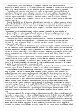 28 pesta | PDF