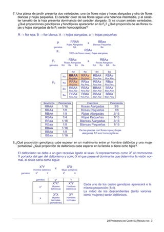 7. Una planta de jardín presenta dos variedades: una de flores rojas y hojas alargadas y otra de flores
    blancas y hojas pequeñas. El carácter color de las flores sigue una herencia intermedia, y el carác-
    ter tamaño de la hoja presenta dominancia del carácter alargado. Si se cruzan ambas variedades,
    ¿Qué proporciones genotípicas y fenotípicas aparecerán en la F2? ¿Qué proporción de las flores ro-
    jas y hojas alargadas de la F2 serán homocigóticas?

   R → flor roja; B → flor blanca. A → hojas alargadas; a → hojas pequeñas

                                           P             RRAA               x           BBaa
                                                     Rojas Alargadas            Blancas Pequeñas
                                    gametos                RA                          Ba

                                          F1                           RBAa
                                                       100% de flores rosas y hojas alargadas


                                   F1                  RBAa                 x            RBAa
                                                 Rosas Alargadas                  Rosas Alargadas
                                gametos        RA   Ra     BA    Ba             RA   Ra    BA     Ba

                                                          RA           Ra          BA           Ba

                                               RA      RRAA         RRAa        RBAA        RBAa
                                                       Roj.Alar     Roj.Alar    Ros.Alar    Ros.Alar
                                   F2           Ra      RRAa        RRaa         RBAa       RBaa
                                                        Roj.Alar    Roj.Peq.    Ros.Alar    Ros.Peq.
                                               BA       RBAA        RBAa        BBAA        BBAa
                                                       Ros.Alar     Ros.Alar    Blan.Alar   Blan.Alar
                                                Ba      RBAa        RBaa         BBAa       BBaa
                                                       Ros.Alar     Ros.Peq.    Blan.Alar   Blan.Peq.

                          GENOTIPOS        PROPORCIÓN                       FENOTIPOS            PROPORCIÓN
                            RRAA               1/16                 Rosas Alargadas                  3/8
                            RRAa                1/8                 Rosas Pequeñas                   1/8
                            RBAA                1/8                 Rojas Alargadas                  3/16
                            RBAa                1/4                 Rojas Pequeñas                   1/16
                            RRaa               1/16                Blancas Alargadas                 3/16
                            RBaa                1/8                Blancas Pequeñas                  1/16
                            BBAA               1/16
                                                                   De las plantas con flores rojas y hojas
                            BBAa                1/8                  alargadas 1/3 son homocigóticas
                            BBaa               1/16

8.¿Qué proporción genotípica cabe esperar en un matrimonio entre un hombre daltónico y una mujer
   portadora? ¿Qué proporción de daltónicos cabe esperar en la familia si tiene ocho hijos?

   El daltonismo se debe a un gen recesivo ligado al sexo. Si representamos como Xd el cromosoma
   X portador del gen del daltonismo y como X el que posee el dominante que determina la visión nor-
   mal, el cruce sería como sigue:

                      XdY             x              XdX
                Hombre daltónico               Mujer portadora
      gametos    Xd         Y                   Xd           X

                  gametos             Xd                 Y
                                      d    d
                                   XX                  XdY             Cada uno de los cuatro genotipos aparecerá e la
                      d
                      X           Mujeres            Hombres
                                 daltónicas          daltónicos        misma proporción (1/4).
                                                                       La mitad de los descendientes (tanto varones
                                   XdX                 XY              como mujeres) serán daltónicos.
                      X            Mujeres           Hombres
                                  normales           normales
                                (portadoras)




                                                                                               28 PROBLEMAS DE GENÉTICA RESUELTOS 3
 