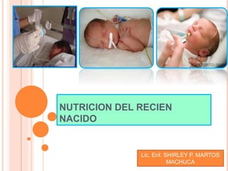 NUTRICION DEL RECIEN
NACIDO
Lic. Enf. SHIRLEY P. MARTOS
MACHUCA
 