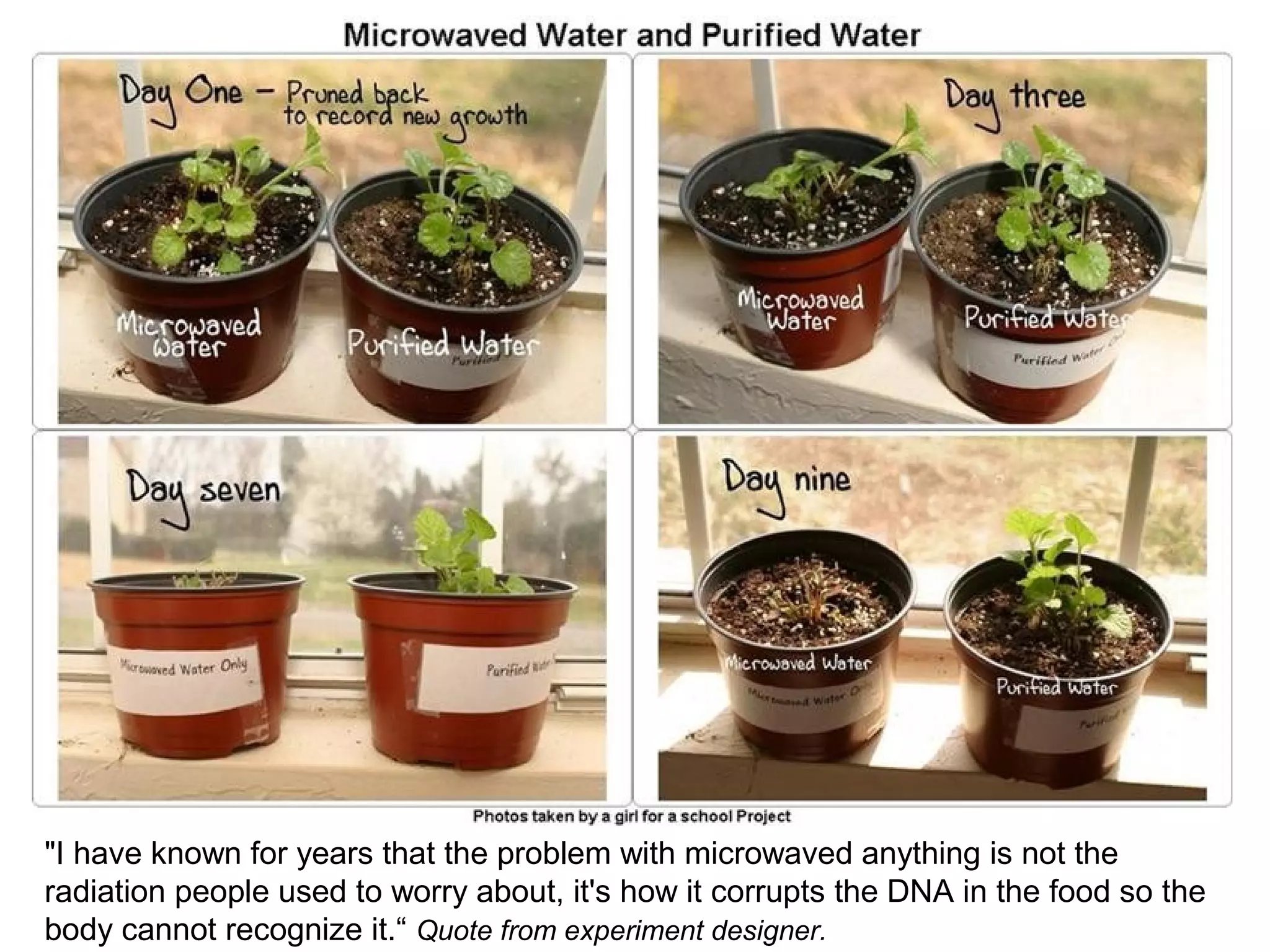 "I have known for years that the problem with microwaved anything is not the
radiation people used to worry about, it's how it corrupts the DNA in the food so the
body cannot recognize it.“ Quote from experiment designer.
 