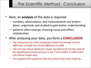 The Scientific Method - Conclusion
• Next, an analysis of the data is required:
– numbers, observations, and measurements are broken
down, organized, and studied to gain better understanding
– patterns often emerge, showing cause-and-effect
relationships
• After analyzing your data, you form a CONCLUSION
– The measurements, when compared, showed an average 1.6 mm
difference in length and .8 mm difference in width.
– The cast was almost identical in shape, but did not fit into the mold of
the hypothesized animal because it was 7 mm smaller in width and 4
mm shorter length-wise.
– This supports the hypothesis that the animal tracks were made by...
 