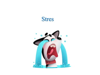 Stres
 