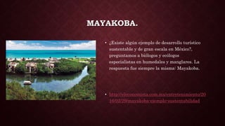MAYAKOBA.
• ¿Existe algún ejemplo de desarrollo turístico
sustentable y de gran escala en México?,
preguntamos a biólogos y ecólogos
especialistas en humedales y manglares. La
respuesta fue siempre la misma: Mayakoba.
• http://eleconomista.com.mx/entretenimiento/20
16/02/29/mayakoba-ejemplo-sustentabilidad
 