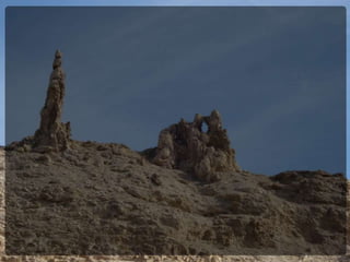 29 03-2015 ochtend dienst 