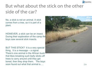 But what about the stick on the other side of the car? No, a stick is not an animal. A stick comes from a tree, so it is part of a plant. HOWEVER, a stick can be an insect.  During their exploration of the camp the boys saw several stick insects. BUT THIS STICK?  It is a very special thing.  It is a message – a signal.  There’s one animal in the African bush that likes breaking such leafy sticks off trees to carry around until they get bored, then they drop them.  The boys soon found out what that animal is…. 