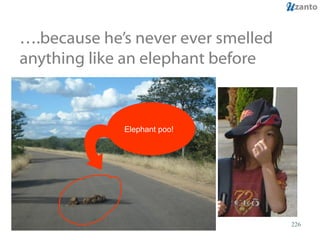 … .because he’s never ever smelled anything like an elephant before Elephant poo!  