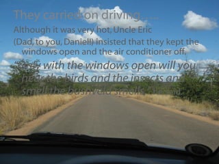They carried on driving….. Although it was very hot, Uncle Eric  (Dad, to you, Daniel!) insisted that they kept the windows open and the air conditioner off. “ Only with the windows open will you hear the birds and the insects and smell the bushveld smells,”  he said. 