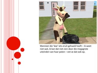 Wanneer die ‘koe’ iets eruit gehaald heeft – ik weet niet wat, ik kan dat niet zien door die megagrote uiteinden van haar poten – eet ze dat ook op.