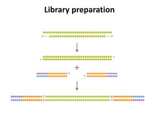 Library preparation

 