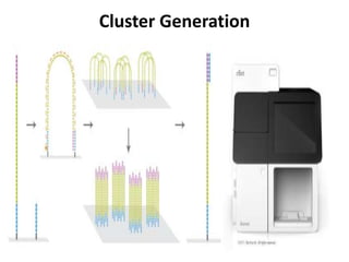 Cluster Generation

 