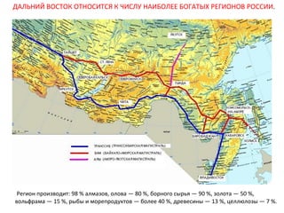 ДАЛЬНИЙ ВОСТОК ОТНОСИТСЯ К ЧИСЛУ НАИБОЛЕЕ БОГАТЫХ РЕГИОНОВ РОССИИ.

Регион производит: 98 % алмазов, олова — 80 %, борного сырья — 90 %, золота — 50 %,
вольфрама — 15 %, рыбы и морепродуктов — более 40 %, древесины — 13 %, целлюлозы — 7 %.

 