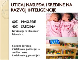 UTICAJ NASLEĐA I SREDINE NA
RAZVOJ INTELIGENCIJE
60% NASLEĐE
40% SREDINA
Istraživanja na identičnim
blizancima

Nasleđe određuje
intelektualni potencijal, a
sredina razvoj
intelektualnog potencijala.

 
