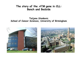 The story of the ATM gene in CLL:
Bench and Bedside
Tatjana Stankovic
School of Cancer Sciences, University of Birmingham

 