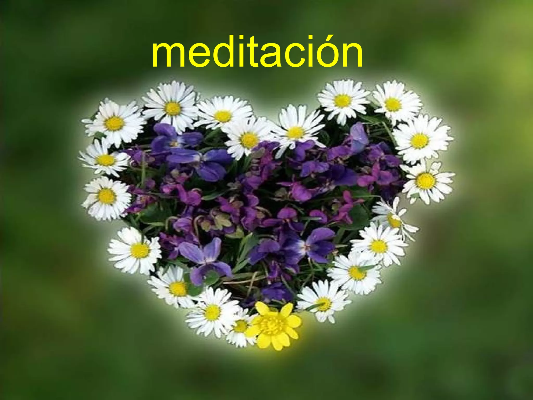 meditación
 