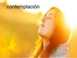 contemplación
 