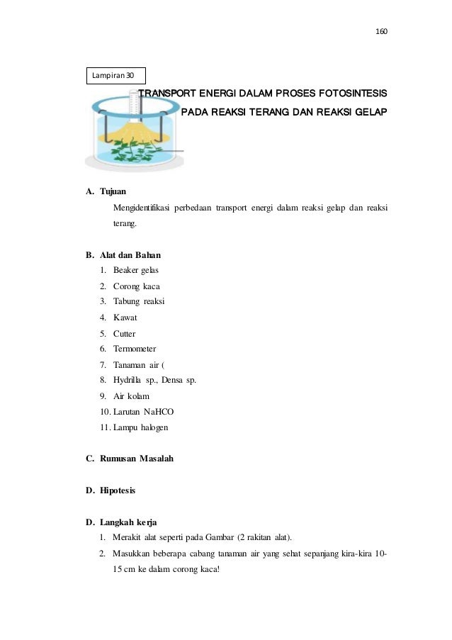 29 Lampiran 30 31 Lkpd Fotosintesis