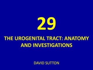 29
THE UROGENITAL TRACT: ANATOMY
AND INVESTIGATIONS
DAVID SUTTON
 