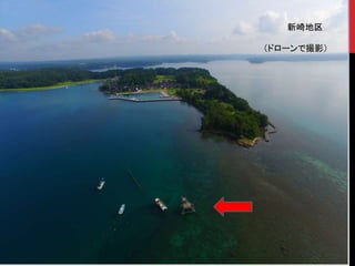 新崎地区
（ドローンで撮影）
 