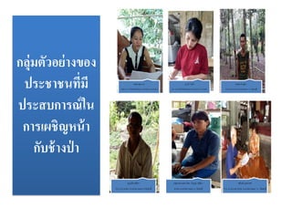 อรทัย สุขถาวร
129/1 ม.7 ต.ห้วยทับมอญ อ.เขาชะเมา จ.ระยอง
ญาณี ใจตั้ง
50 ม.3 ต.ห้วยทับมอญ อ.เขาชะเมา จ. ระยอง
สมชัย ค่าสุริยา
10 ม.3 ต.พวา อ.แก่งหางแมว จ.. จันทบุรี
บุญเลิส ดุชิตา
75/1 ม.2 ต.พวา อ.แก่งหางแมว จ.จันทบุรี
กลุ่มวนเกษตรโดย กัญญา ดุชิตา
ต.พวา อ.แก่งหางแมว จ. จันทบุรี
สุจินต์ บุตรวงศ์
173 ม.3 ต.เขาวงกต อ.แก่งหางแมว จ.. จันทบุรี
กลุ่มตัวอย่างของ
ประชาชนที่มี
ประสบการณ์ใน
การเผชิญหน้า
กับช้างป่ า
 