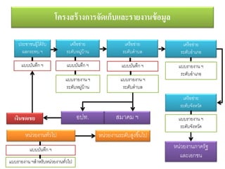 โครงสร้างการจัดเก็บและรายงานข้อมูล
ประชาชนผู้ได้รับ
ผลกระทบ ฯ
เครือข่าย
ระดับหมู่บ้าน
เครือข่าย
ระดับตาบล
หน่วยงานภาครัฐ
และเอกชน
เครือข่าย
ระดับอาเภอ
เครือข่าย
ระดับจังหวัด
แบบรายงาน ฯ
ระดับตาบล
แบบบันทึก ฯ
แบบรายงาน ฯ
ระดับหมู่บ้าน
แบบรายงาน ฯ
ระดับอาเภอ
แบบรายงาน ฯ
ระดับจังหวัด
สมาคม ฯอปท.
แบบบันทึก ฯ แบบบันทึก ฯ
เงินชดเชย
หน่วยงานทั่วไป
แบบบันทึก ฯ
แบบรายงาน ฯสาหรับหน่วยงานทั่วไป
หน่วยงานระดับสูงขึ้นไป
 