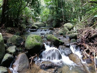 แนวทางการวางระบบการติดตามปัญหาการเผชิญหน้าระหว่างคนกับช้างป่า