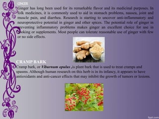 GINGER
Ginger has long been used for its remarkable flavor and its medicinal purposes. In
folk medicines, it is commonly used to aid in stomach problems, nausea, joint and
muscle pain, and diarrhea. Research is starting to uncover anti-inflammatory and
neuroprotective potential in ginger and other spices. The potential role of ginger in
preventing inflammatory problems makes ginger an excellent choice for use in
cooking or supplements. Most people can tolerate reasonable use of ginger with few
or no side effects.
CRAMP BARK
Cramp bark, or Viburnum opulus ,is plant bark that is used to treat cramps and
spasms. Although human research on this herb is in its infancy, it appears to have
antioxidants and anti-cancer effects that may inhibit the growth of tumors or lesions.
 