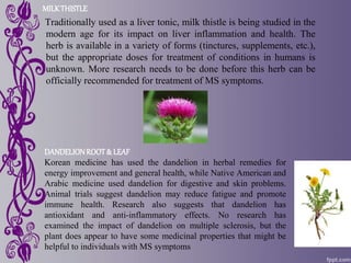 MILKTHISTLE
Traditionally used as a liver tonic, milk thistle is being studied in the
modern age for its impact on liver inflammation and health. The
herb is available in a variety of forms (tinctures, supplements, etc.),
but the appropriate doses for treatment of conditions in humans is
unknown. More research needs to be done before this herb can be
officially recommended for treatment of MS symptoms.
DANDELIONROOT& LEAF
Korean medicine has used the dandelion in herbal remedies for
energy improvement and general health, while Native American and
Arabic medicine used dandelion for digestive and skin problems.
Animal trials suggest dandelion may reduce fatigue and promote
immune health. Research also suggests that dandelion has
antioxidant and anti-inflammatory effects. No research has
examined the impact of dandelion on multiple sclerosis, but the
plant does appear to have some medicinal properties that might be
helpful to individuals with MS symptoms
 
