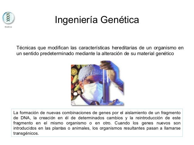 Ingenieria Genetica Bioetica