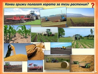 Какви грижи полагат хората за тези растения?
 