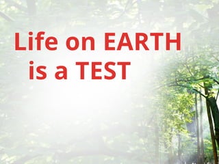 Life on EARTH
is a TEST
 