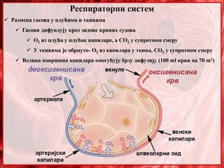 Респираторни систем
 Размена гасова у плућима и ткивима
 Гасови дифундују кроз зидове крвних судова
 О2 из плућа у плућне капиларе, а СО2 у супротном смеру
 У ткивима је обрнуто- О2 из капилара у ткива, СО2 у супротном смеру
 Велика површина капилара омогућују брзу дифузију (100 ml крви на 70 m2)
 