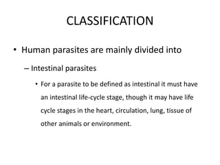 Intestinal Parasites Classification 29. parasites | PPTX