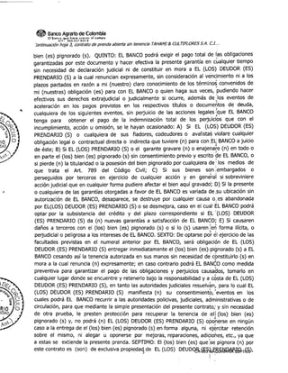 Embargo on Tahami y Cultiflores property and greenhouses