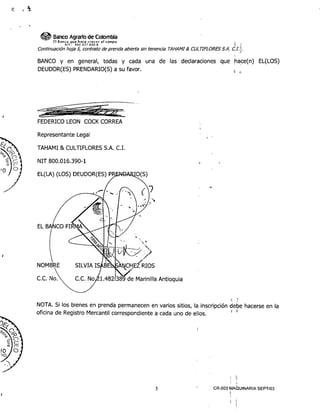 Embargo on Tahami y Cultiflores property and greenhouses